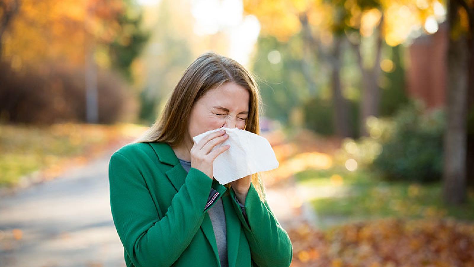 Fall Allergies: Triggers, Symptoms, and Management 